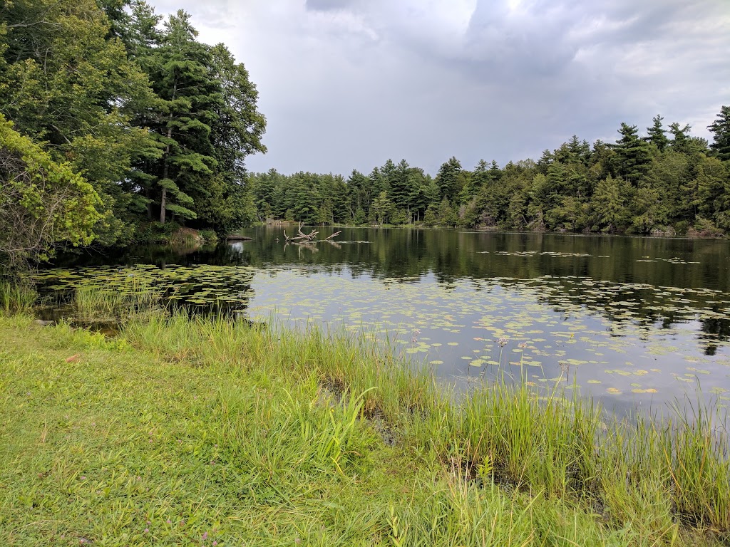 Murphys Point Beach | Tay Valley, ON K7H 3C7, Canada