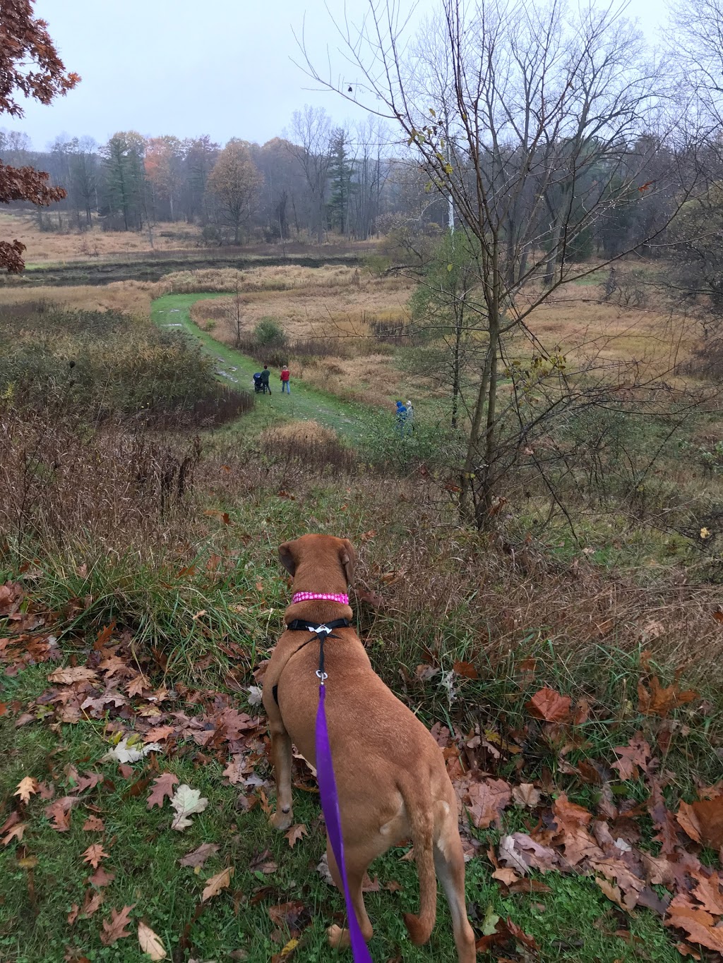 Columbus County Park | 1670 Bauman Rd, Columbus, MI 48063, USA | Phone: (810) 989-6960