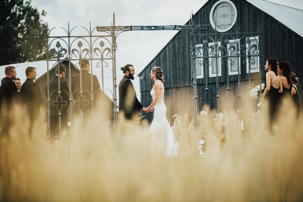 Road 29 Photography | 4968 County Rd No 29, Almonte, ON K0A 1A0, Canada | Phone: (613) 890-2870