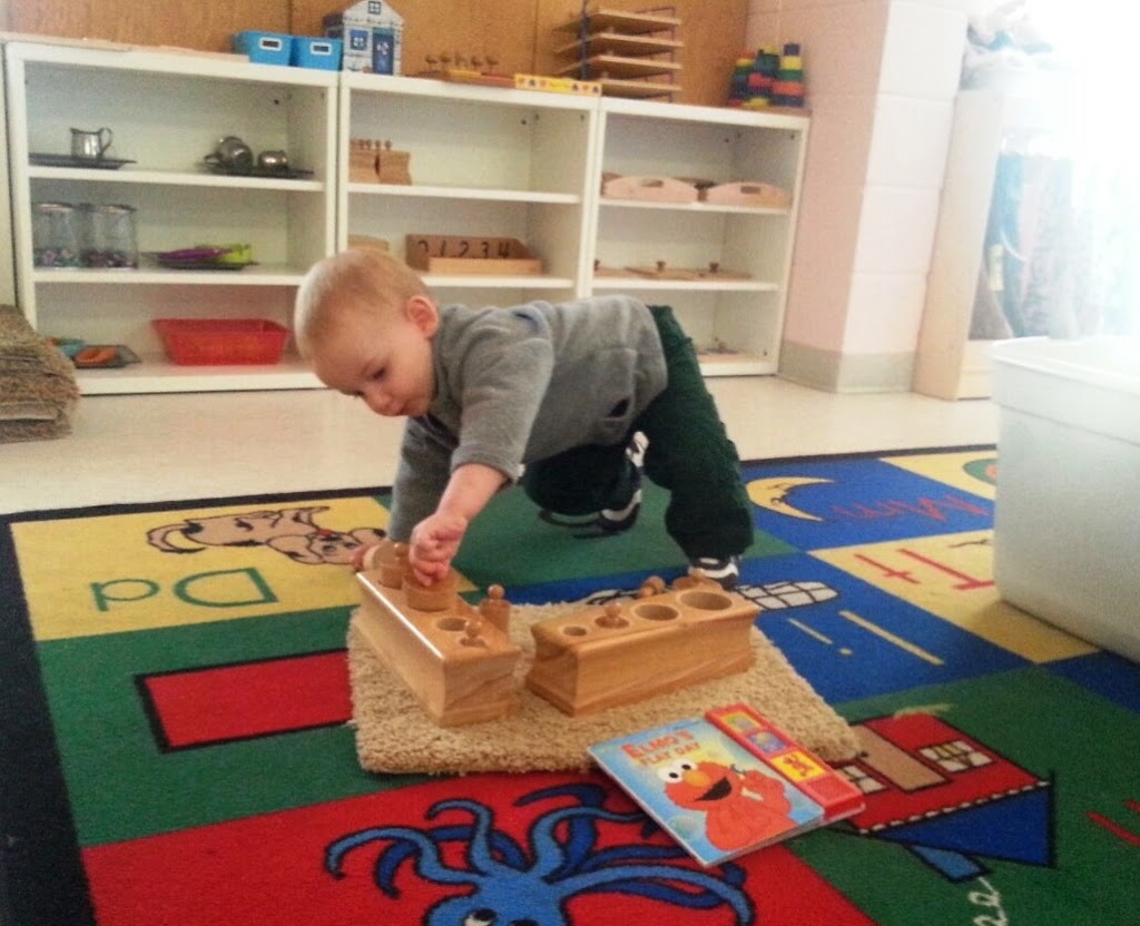 Lethbridge Montessori School | Forestry Campus | 3611 Forestry Ave S, Lethbridge, AB T1K 3L5, Canada | Phone: (403) 327-5222