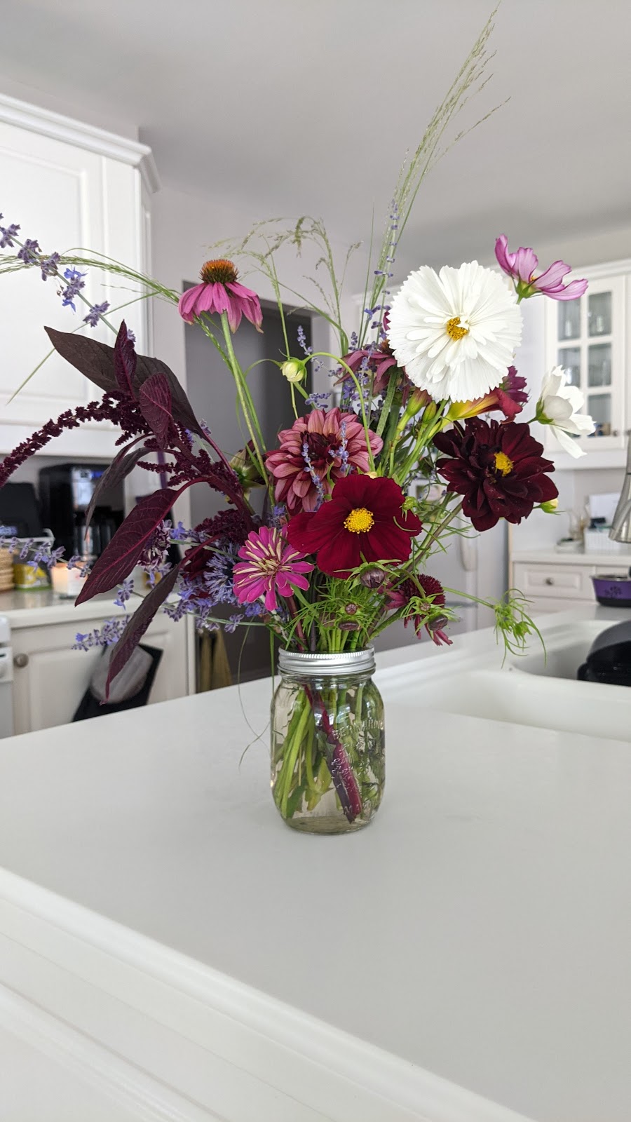 Whites Creek Flower Farm | 1125 Concession Rd 7, Beaverton, ON L0K 1A0, Canada | Phone: (705) 928-2910