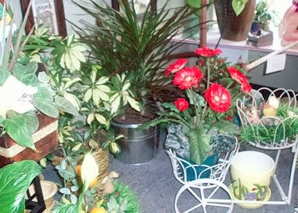 Barrie Flowers | 649 Yonge St, Barrie, ON L4N 4E7, Canada | Phone: (705) 722-7669