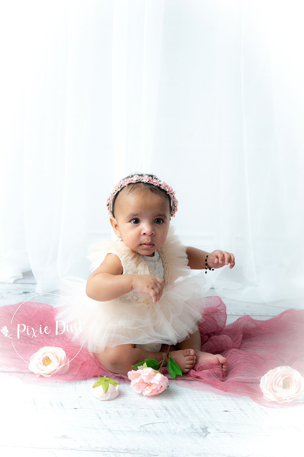Pixie Dust Photography | 8091 Lochside Dr, Saanichton, BC V8M 1V1, Canada | Phone: (250) 334-7673