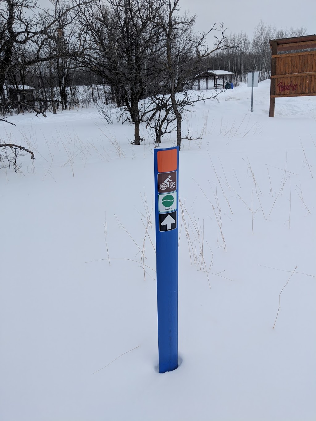 Bur Oak Self-Guiding Trail | Bur Oak Self-Guiding Trail, Springfield, MB R0E 1J0, Canada