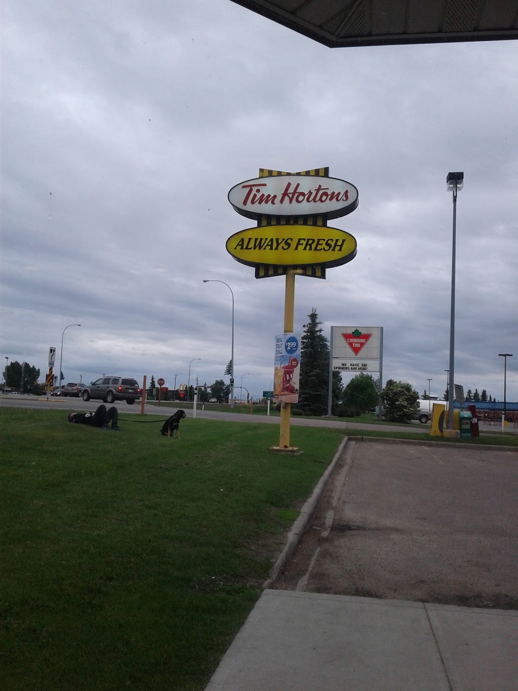 Tim Hortons | 70 McLeod Ave Unit 117, Spruce Grove, AB T7X 3C7, Canada | Phone: (780) 962-8946