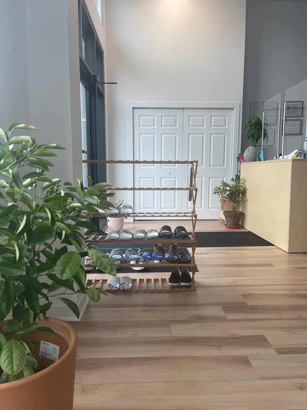 Centre de soins Camellia | 2580 Rue Saint-Pierre, Drummondville, QC J2C 7Y3, Canada | Phone: (819) 857-4464