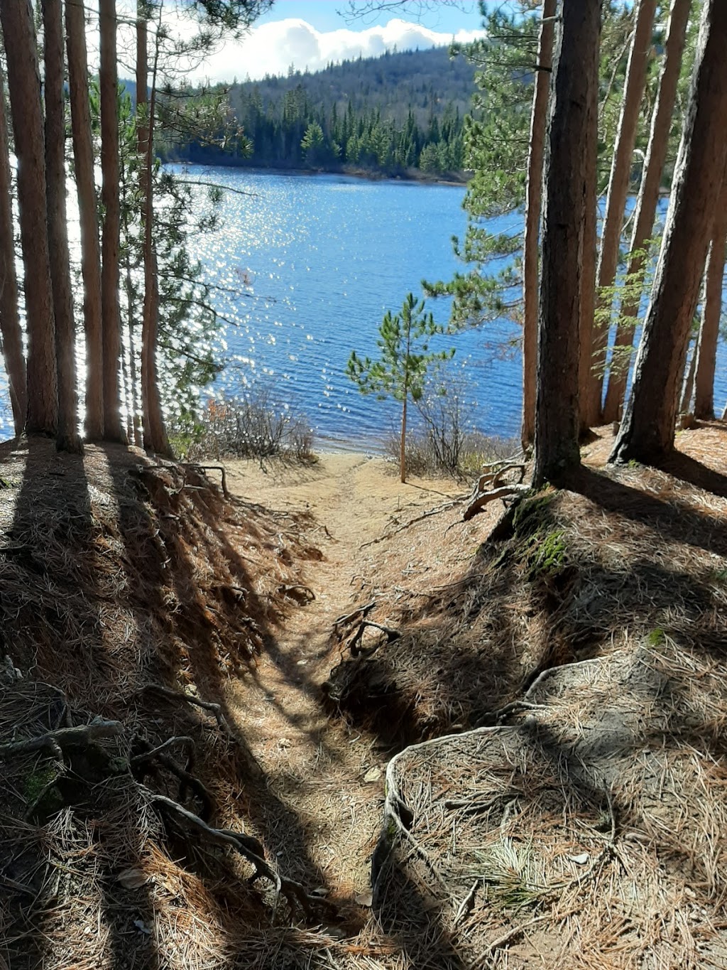 Sepaq. Lac au Sorcier | Saint-Alexis-des-Monts, QC J0K 1V0, Canada | Phone: (819) 265-2098