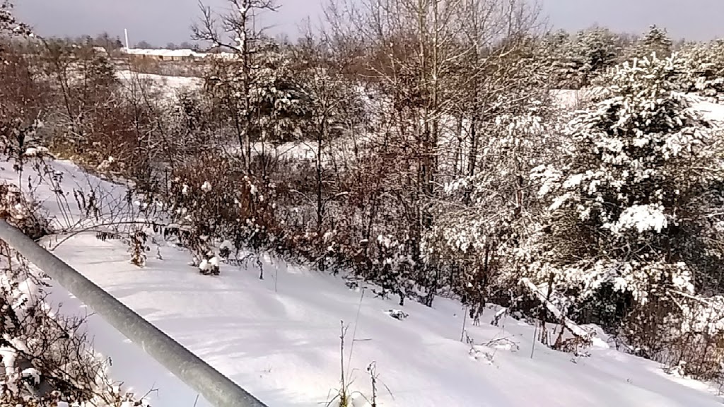 William Harrison Park | 119 Hawkes Dr, Richmond Hill, ON L4S 0C2, Canada | Phone: (905) 771-8800