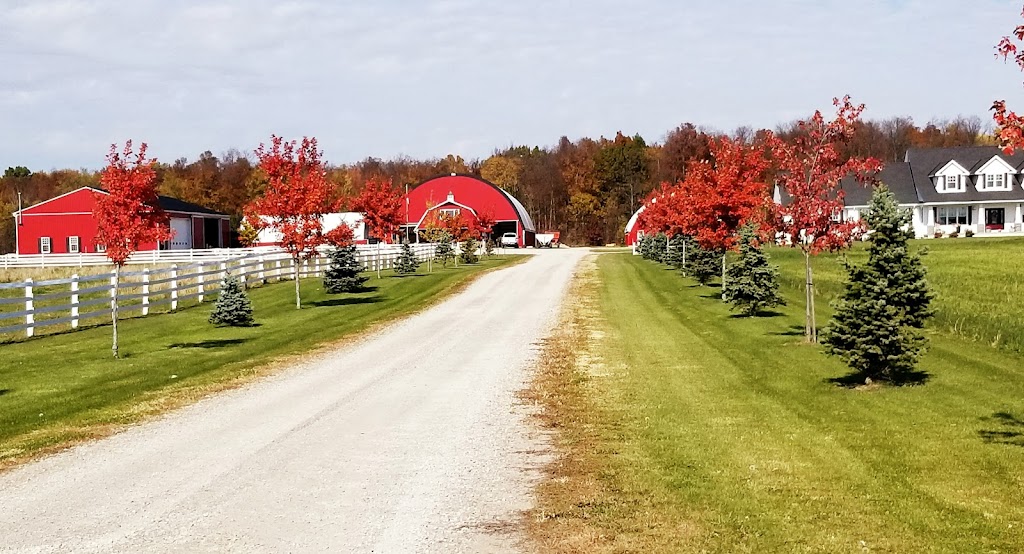A C Wilsons Upholstery-Awnings | 7309 Langstaff Line, Wallaceburg, ON N8A 4L2, Canada | Phone: (519) 627-8053