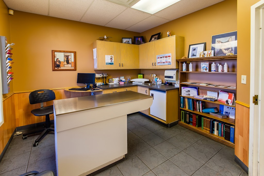 Lockerby Animal Hospital | 2178 Armstrong St, Sudbury, ON P3E 5G9, Canada | Phone: (705) 522-4555