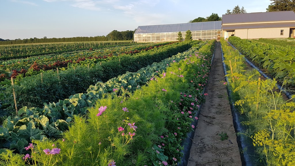 Howe Family Farm Market | 48556 John Wise Line, Aylmer, ON N5H 2R4, Canada | Phone: (226) 244-1737