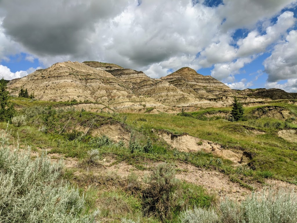 Dry Island Buffalo Jump Provincial Park | Hwy 585, Elnora, AB T0M 0Y0, Canada | Phone: (403) 742-7516