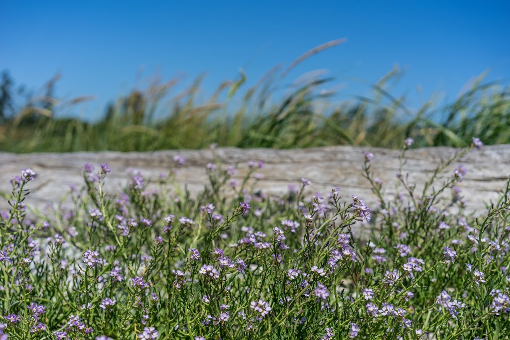 Quimper Park | Whiffin Spit Rd, Sooke, BC, Canada