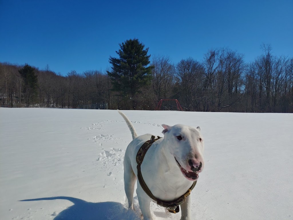 Walter Kummer Town Park | 8602 Park Street, Colden, NY 14033, USA | Phone: (716) 941-5012