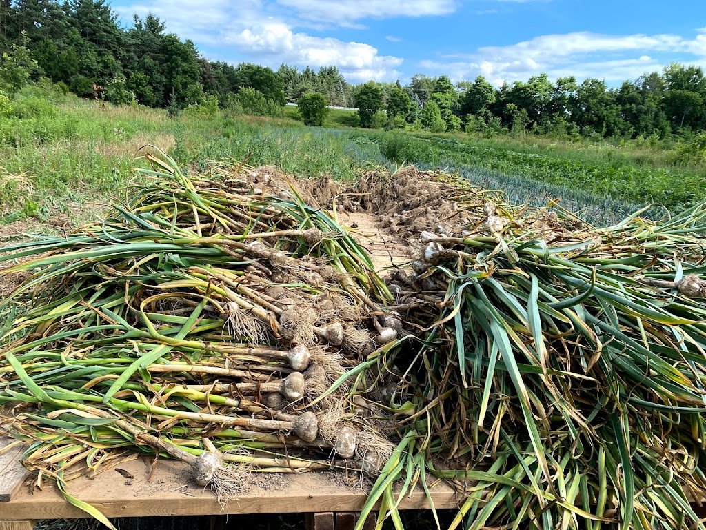 Manorun Organic Farm | 782 Hamilton Regional Rd 52, Lynden, ON L0R 1T0, Canada | Phone: (905) 648-9608
