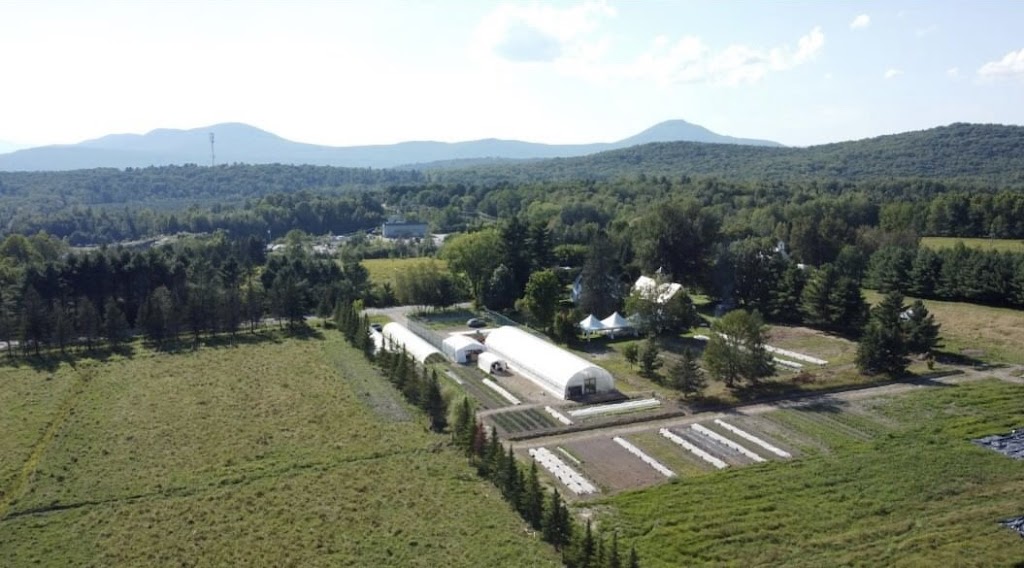 Ferme Granite 1981 | 1720 Chem. Marlington, Ogden, QC J0B 3E3, Canada | Phone: (514) 609-8468