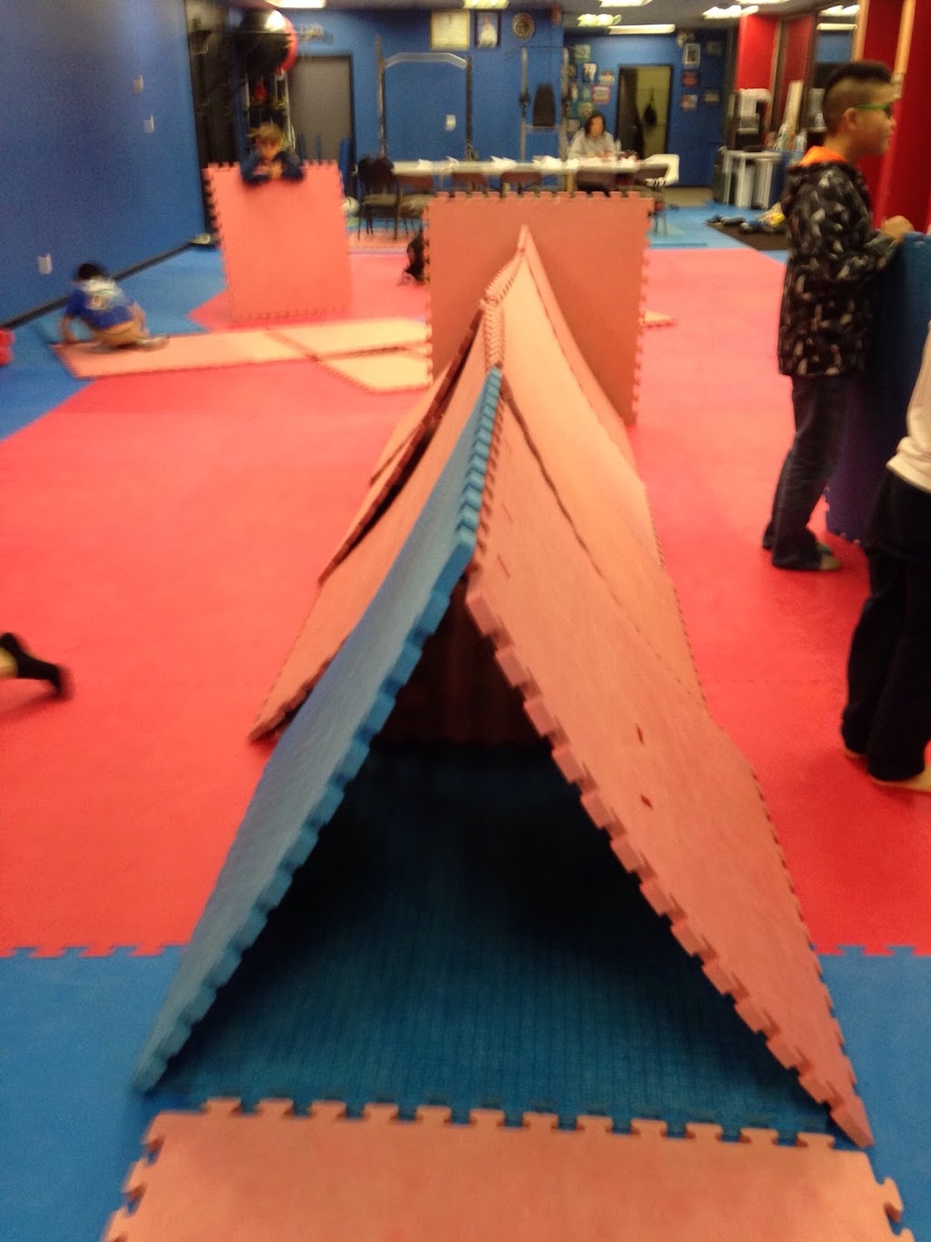OMAC Taekwondo | 842 12th St, New Westminster, BC V3M 4K3, Canada | Phone: (604) 526-2309