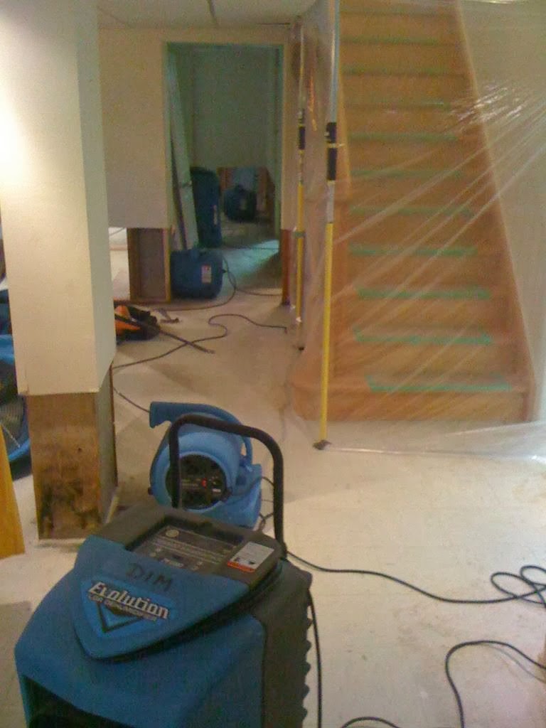 Ivic Construction Ltd | 109 Coe Hill Dr, Toronto, ON M6S 3E3, Canada | Phone: (416) 769-1431