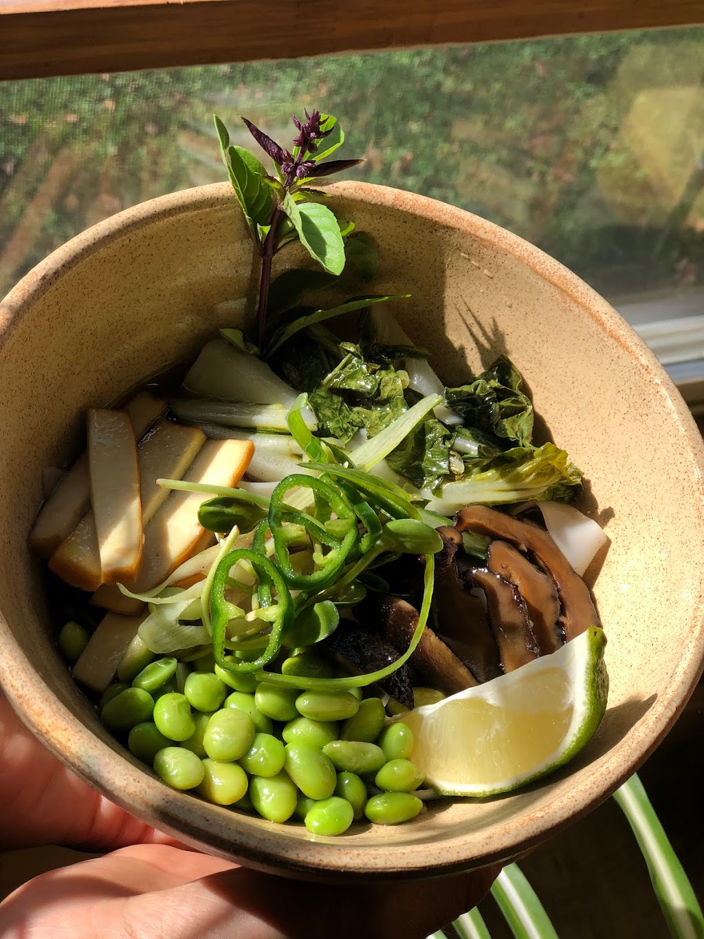 Nourished by Raisin the Root | 27 Bobcaygeon Rd, Minden, ON K0M 2K0, Canada | Phone: (705) 306-0526