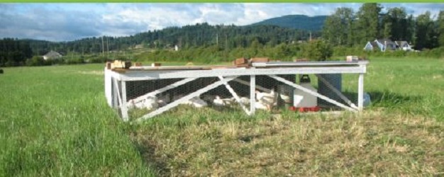 Beaver Vale Farms | 4736 8th Line, Beeton, ON L0G 1A0, Canada | Phone: (905) 775-7639