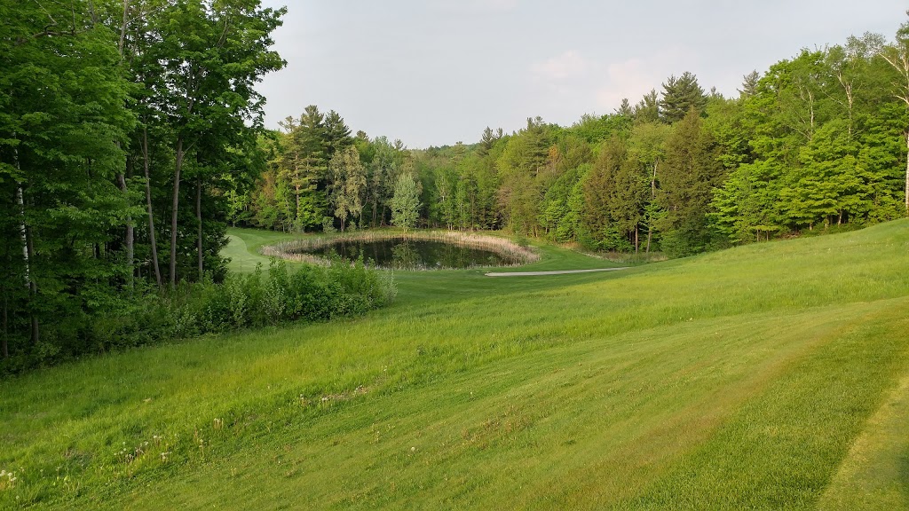 Bendor and Graves Tract 17689 Kennedy Rd, Cedar Valley, ON L0G 1E0