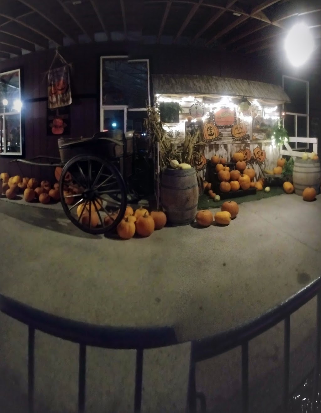 Fantasy Farms Inc. | 9423 Gibson Rd, Chilliwack, BC V2P 6H4, Canada | Phone: (604) 792-8572