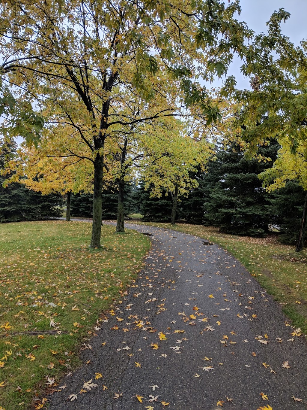 Max Ward Park | 2380 Matheson Blvd E, Mississauga, ON L4W 5G9, Canada | Phone: (905) 896-5151
