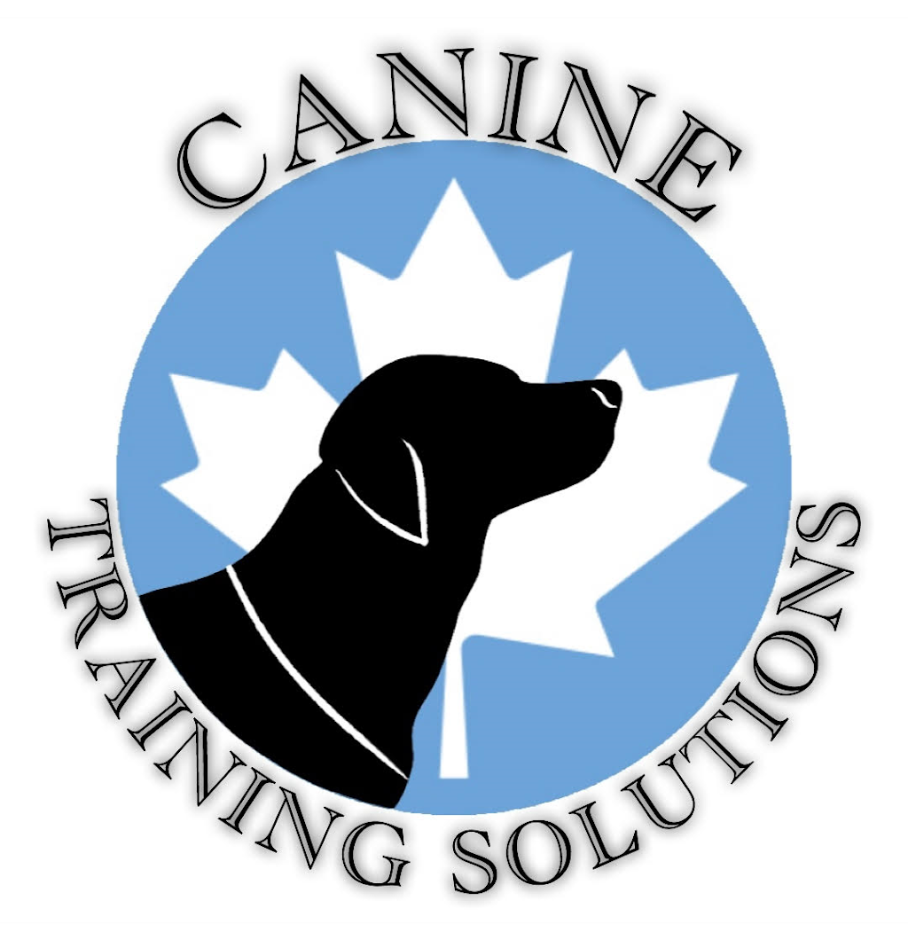 Canine Training Solutions | 7483 Simcoe County Rd 27, Innisfil, ON L9S 3J1, Canada | Phone: (613) 639-6619