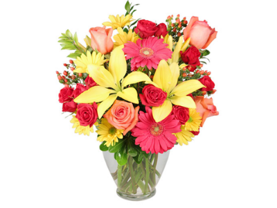 Gift Baskets Niagara | 427 Garrison Rd, Fort Erie, ON L2A 6E6, Canada | Phone: (905) 991-0422