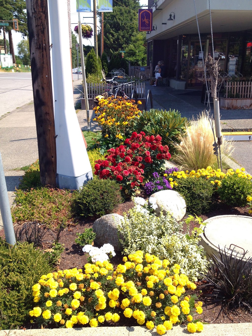 Wood N Frog Coffee Company | 5694 12 Ave, Delta, BC V4L 1C4, Canada | Phone: (778) 434-3330