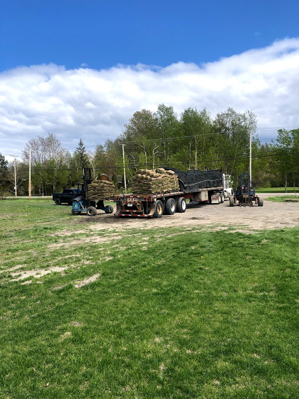 Gazon Bouchard - La relève | 2693 Chem. du Plateau N, La Baie, QC G7B 0H1, Canada | Phone: (418) 818-0787