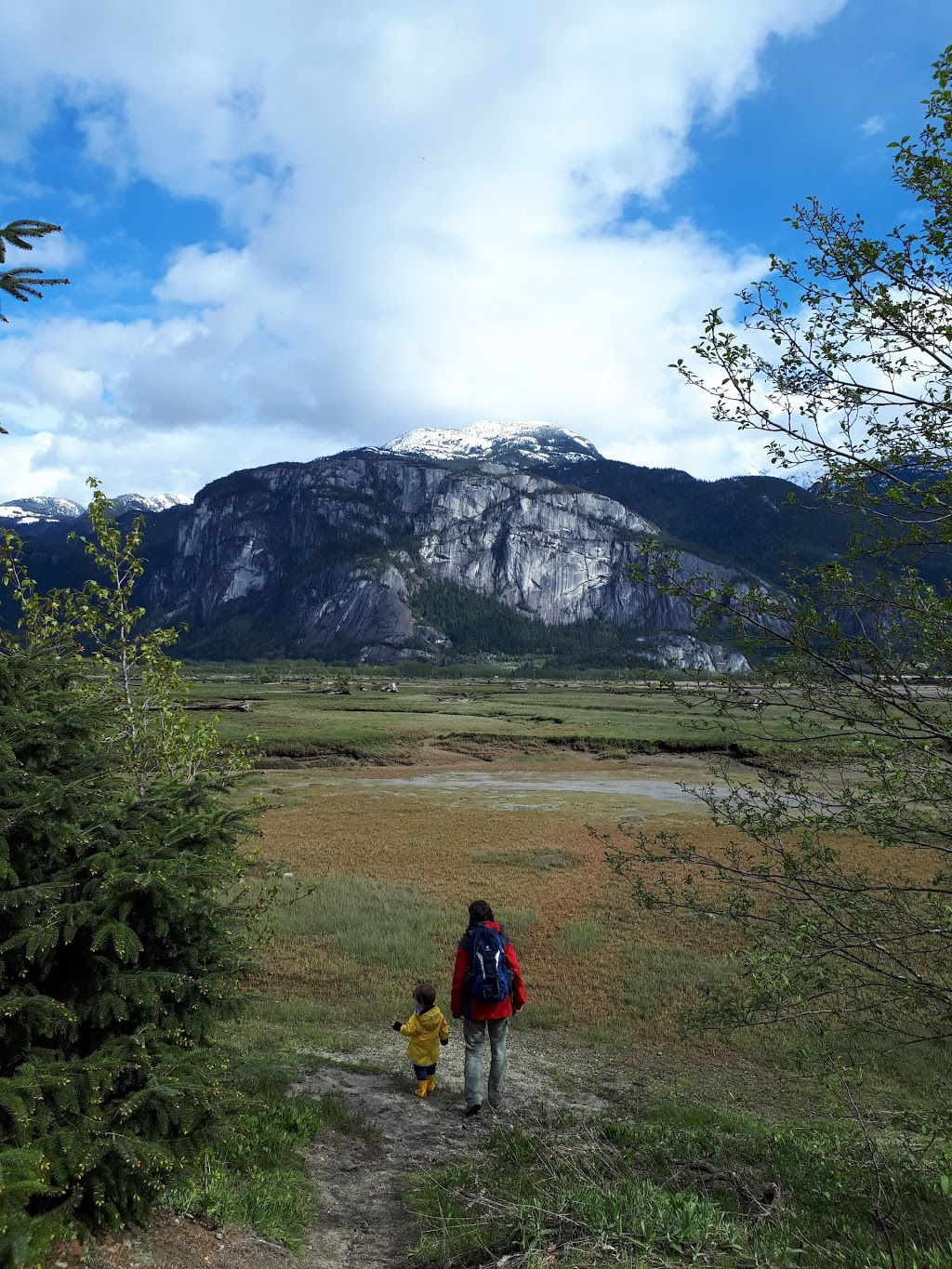 Estuary Chelem Trail | Squamish, BC V8B, Canada