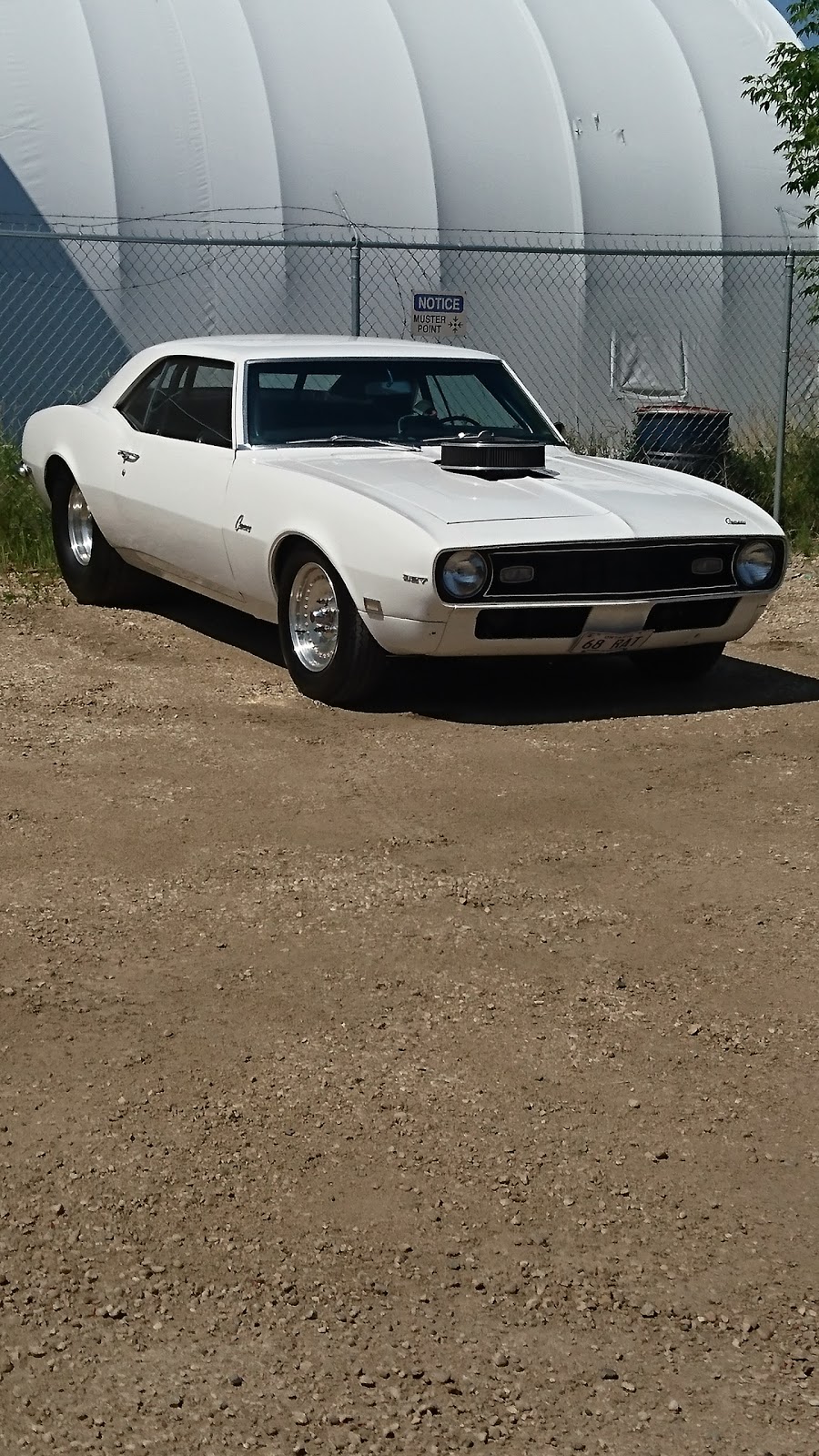 YEG Wrap & Customs Studio | 6141 80 St NW, Edmonton, AB T6E 2W8, Canada | Phone: (780) 782-7446