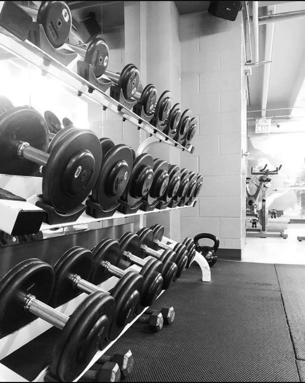Steven Kiss Fitness | 55 Kent St N, Simcoe, ON N3Y 3S3, Canada | Phone: (519) 410-2215