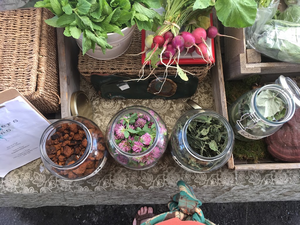 Foragers Farms | 3517 Rowe Rd, Cobourg, ON K9A 4J7, Canada | Phone: (905) 999-3243