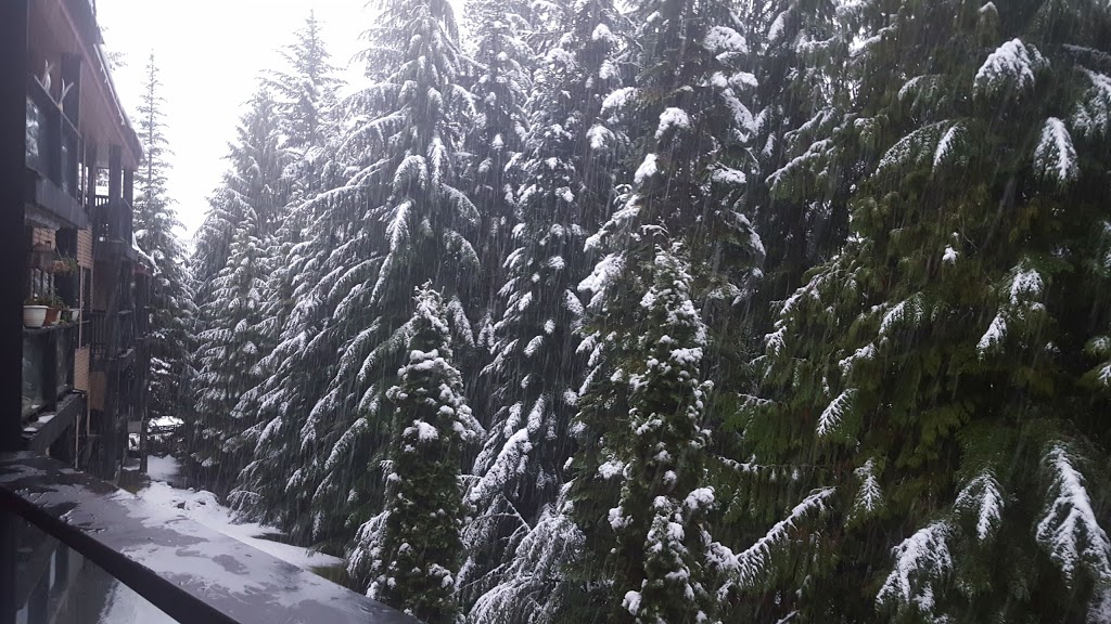 POWDERHORN by Holiday Whistler | 4821 Spearhead Dr, Whistler, BC V0N 1B4, Canada | Phone: (604) 932-2038
