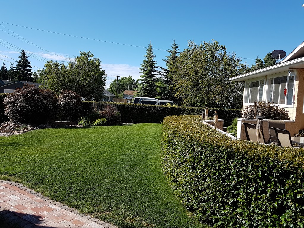 Heartland Haven Bed and Breakfast | 240 5th Ave SE, Three Hills, AB T0M 2A0, Canada | Phone: (403) 443-1463