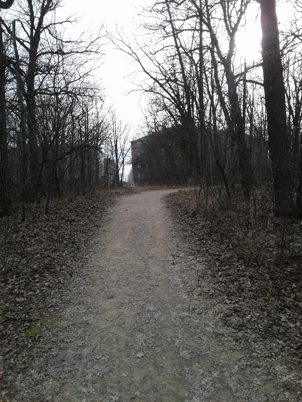 Lindsey Wilson Park | 379 Island Shore Blvd, Winnipeg, MB R3X 2B4, Canada