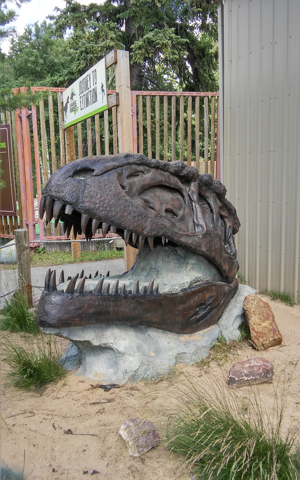 Jurassic Forest | 23210 Township Road 564 #2, Gibbons, AB T0A 1N0, Canada | Phone: (780) 470-2446