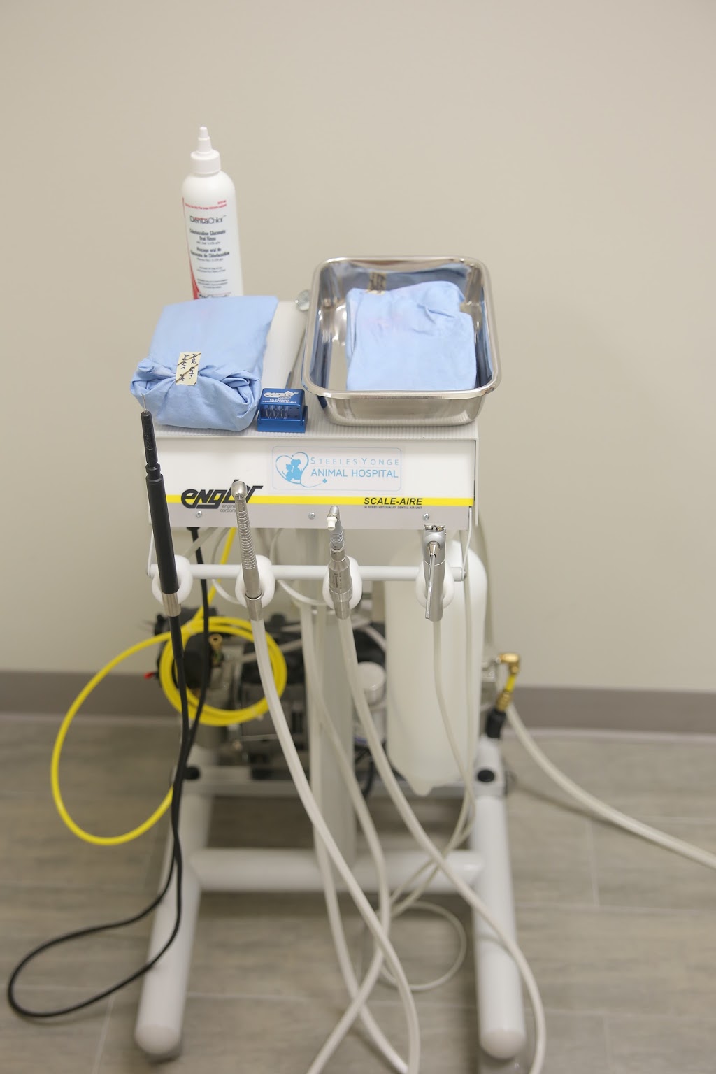 Steeles-Yonge Animal Hospital | 180 Steeles Ave W #15, Thornhill, ON L4J 2L1, Canada | Phone: (905) 597-8387