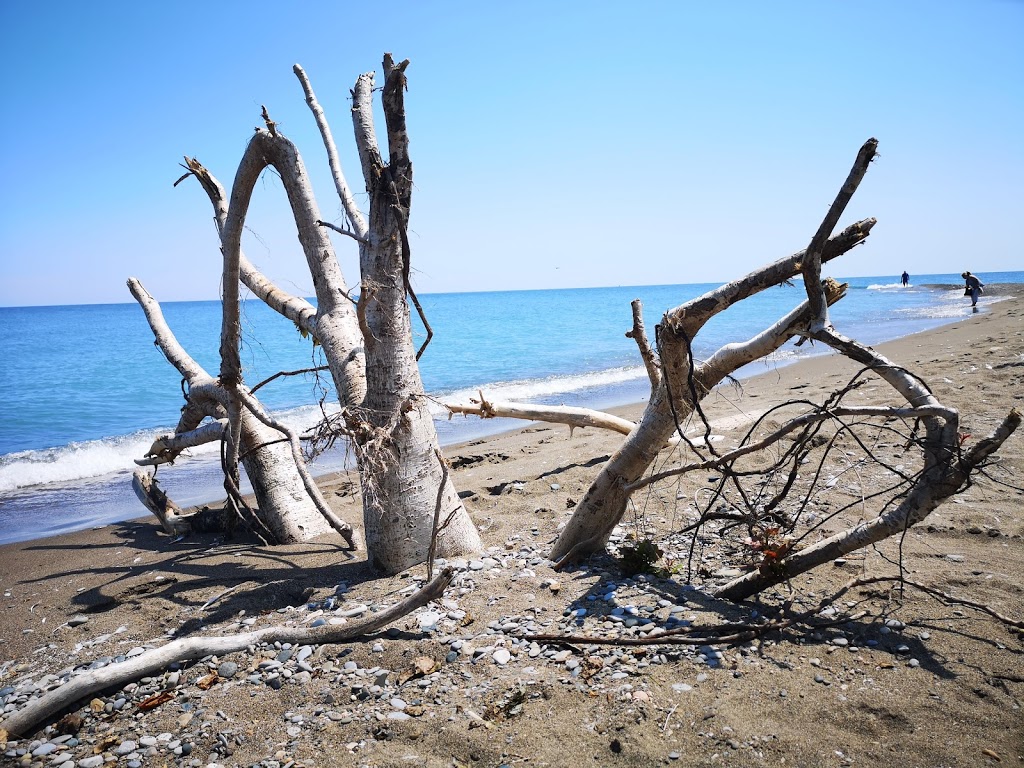 Point Pelee National Park | 1118 Point Pelee Dr, Leamington, ON N8H 3V4, Canada | Phone: (519) 322-2365