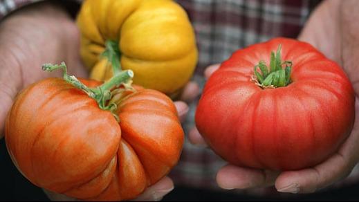 Save-On-Foods | 26310 Fraser Hwy #100, Aldergrove, BC V4W 2Z7, Canada | Phone: (604) 607-6555