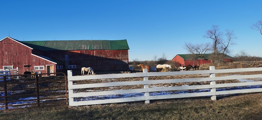 Doug Jarrell Auctions Ltd | 1146 Casey Rd, Belleville, ON K8N 4Z6, Canada | Phone: (613) 969-1033