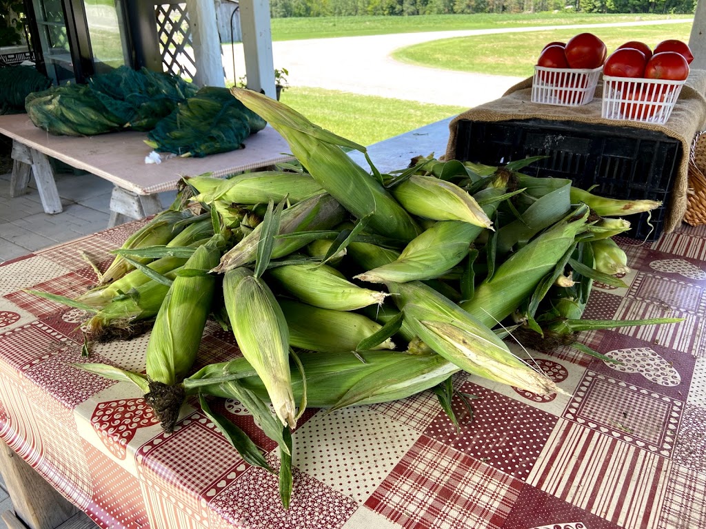 McGregors Produce | Lochwinnoch Rd, Braeside, ON K0A 1G0, Canada | Phone: (613) 432-9726