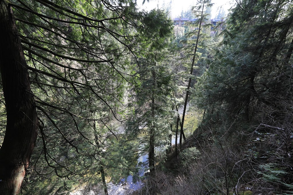 Capilano Suspension Bridge Park – Raptors Ridge | Unnamed Road, West Vancouver, BC V7S 1J5, Canada | Phone: (604) 985-7474
