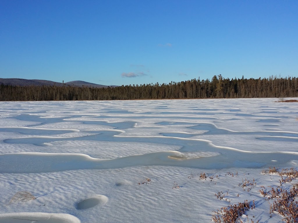 Moose Bog | Island Pond, VT 05846, USA