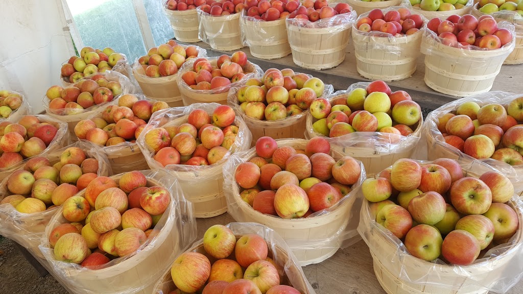 Goldsmiths Orchard Market | 207600 ON-26, Thornbury, ON N0H 2P0, Canada | Phone: (519) 599-3246