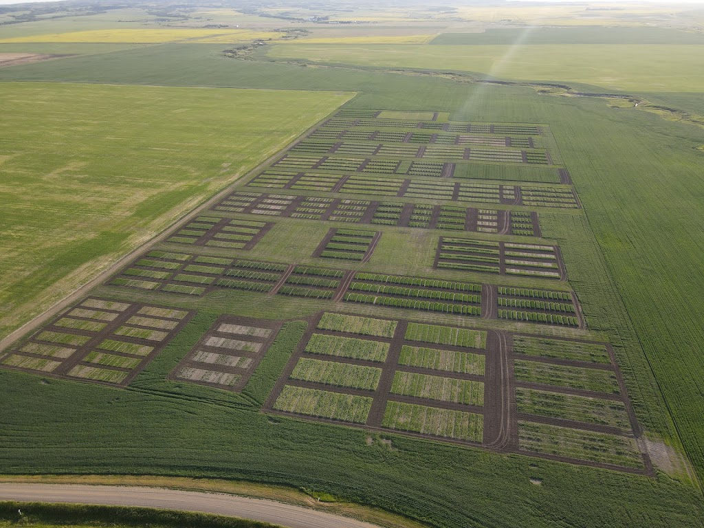 Palliser Triangle Research | HWY 339, Avonlea, SK S0H 0C0, Canada | Phone: (306) 513-8581
