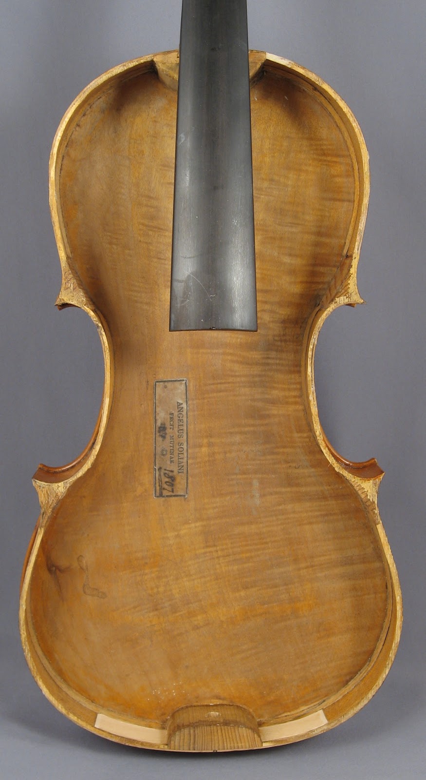 R Kim Tipper & Associates Fine Violins | 1111 Esquimalt Rd, Victoria, BC V9A 3N5, Canada | Phone: (250) 595-5593