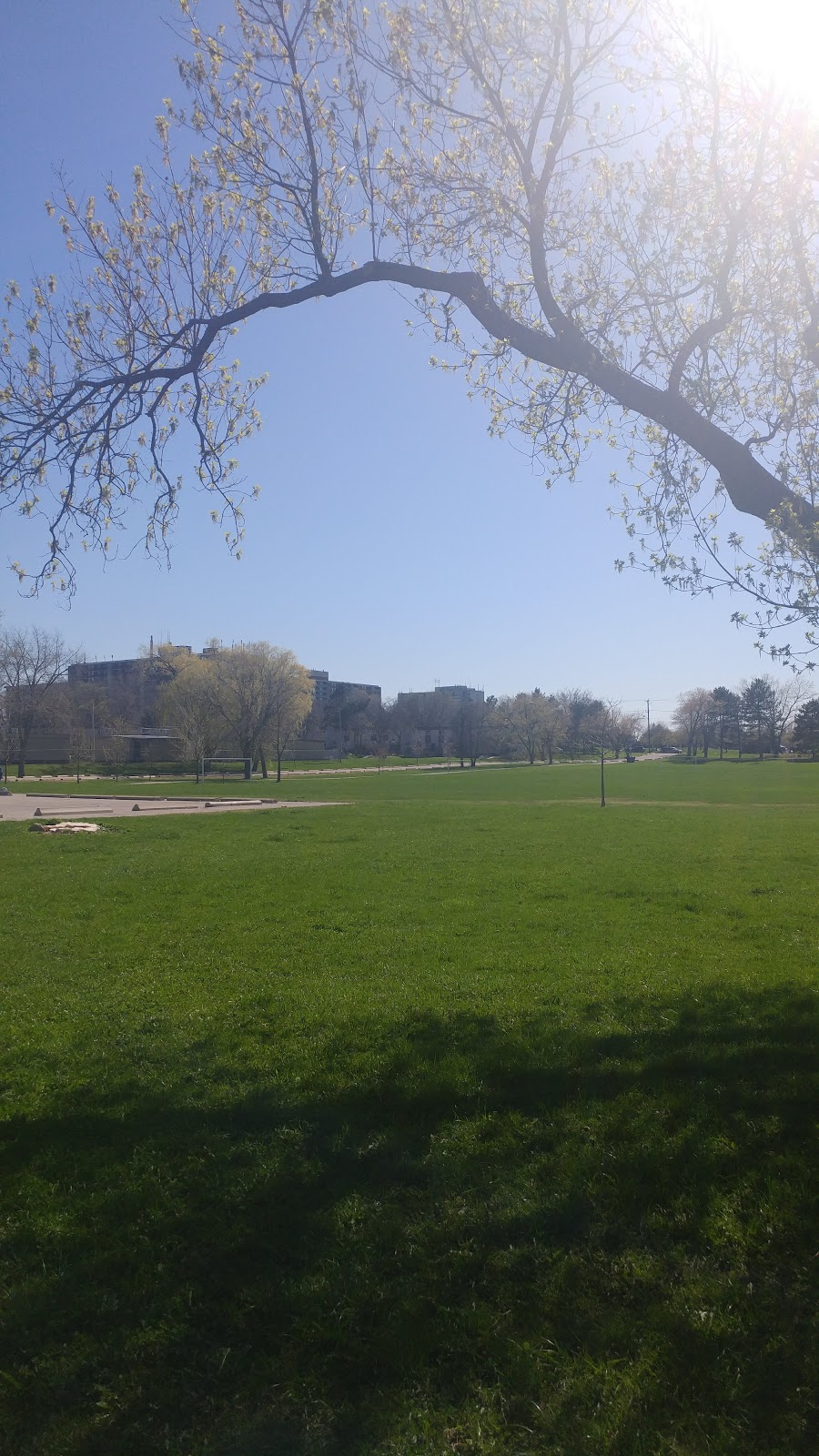 Ron Watson Park | 140 Bonis Ave, Scarborough, ON M1T 3W6, Canada | Phone: (416) 338-4386